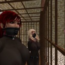 Thumb 50f0eed4a5ceb81ce3000001