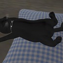 Thumb 56a6f0f09934e04d6b000001