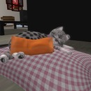 Thumb 56a6f12576408b5bdf000001