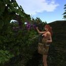 Thumb 632c4244f0e8f94cc0153561