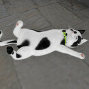 Thumb 67cc993984f03c4cf138b676