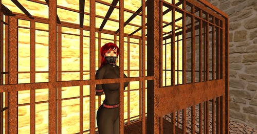 Web 50efaf6d9d9cae4cfa000001