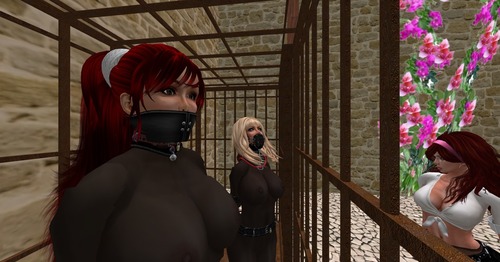 Web 50f0eed4a5ceb81ce3000001