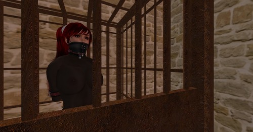 Web 50f384076e073519f9000001