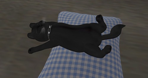 Web 56a6f0f09934e04d6b000001