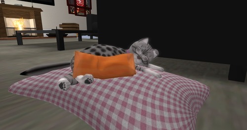 Web 56a6f12576408b5bdf000001