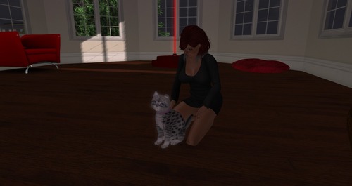 Web 56ac21829934e00437000001