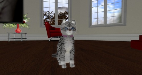 Web 56aee05d9934e039fe000001