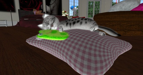 Web 56b027b63f942f2657000001