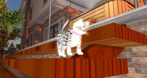 Web 5f262c6f73ed17395b500937