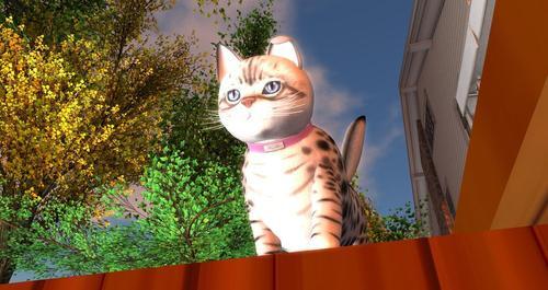 Web 5f263142d9859c39577ce5a6