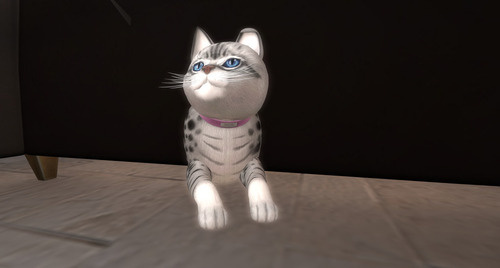 Web 65afb4291d75906bd359d4bd