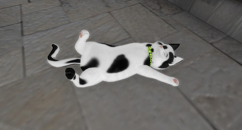 Web 67cc993984f03c4cf138b676