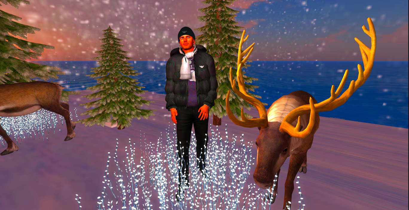 Original 5f998c09289dd26dd08c6a79