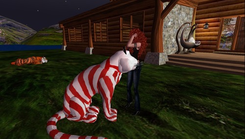 Web 4f3e003d87290708fd000001