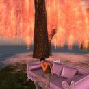 Thumb 5ed218ca73ed171abe0b91b2