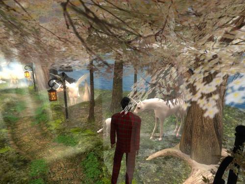 Web 5ff34984331f503f705d6d8e