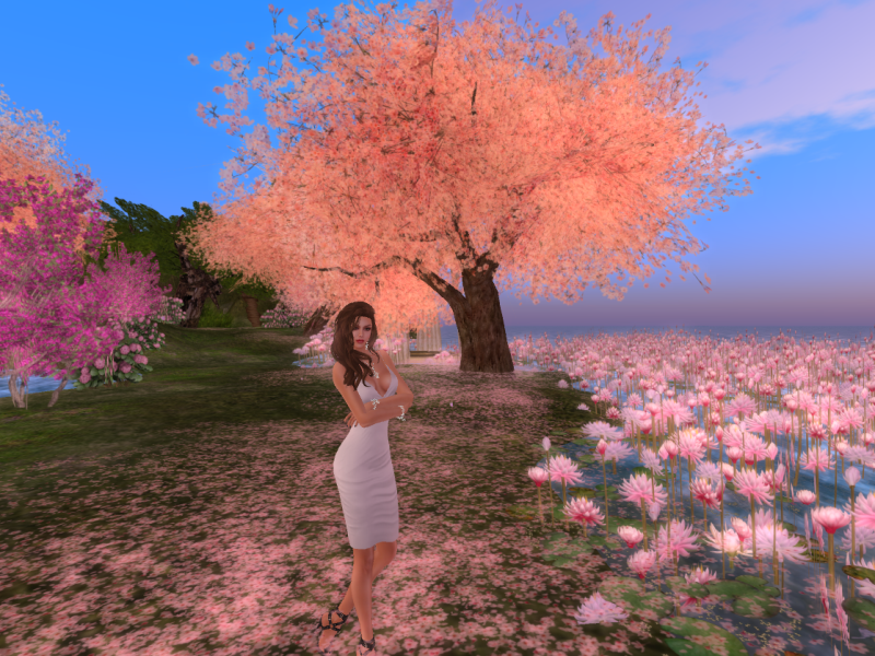 Original 56b0d0333f942f6d2c000001