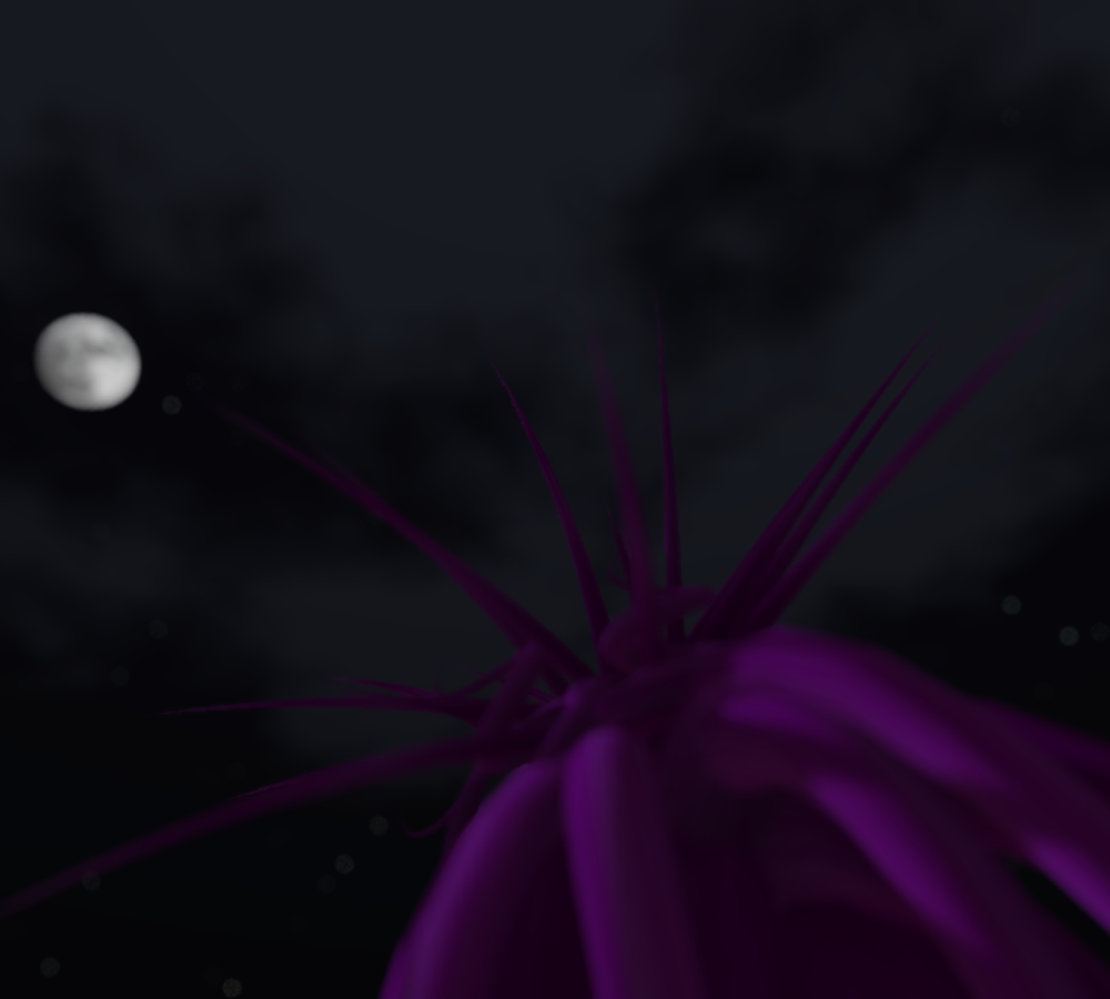 Original 5338514b8da5722d4a000001