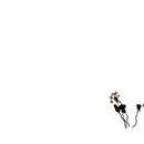 Thumb 534276c88da5727ba3000001