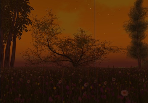 Web 5337f6baf8a1ec2495000001