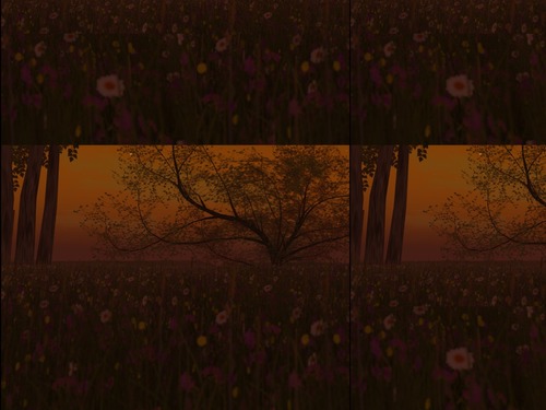 Web 5337f7aff8a1ec292e000001