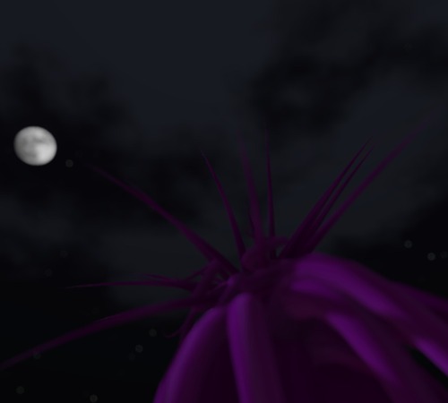 Web 5338514b8da5722d4a000001