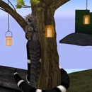 Thumb 563c01bdf8a1ec7eb4000001