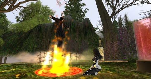 Web 5578e724128cc969c0000001