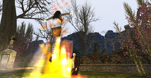 Web 5578e88d8da57204c8000001