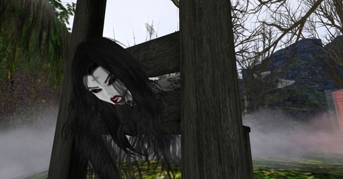 Web 5578eaaba73e216956000001