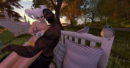 Web 56441e73128cc94560000001