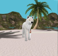 Small 55a7fb57f8a1ec6472000001