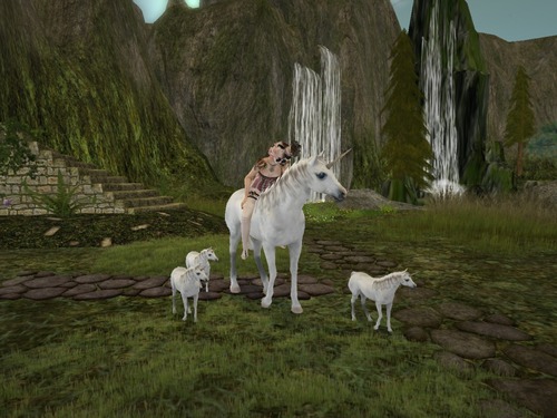 Web 5553d03bf8a1ec779f000001