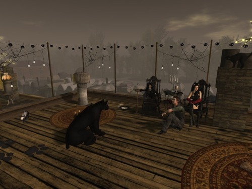 Web 56353632f8a1ec0211000001