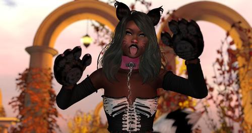 Web 5d71db5cd9859c599f000001