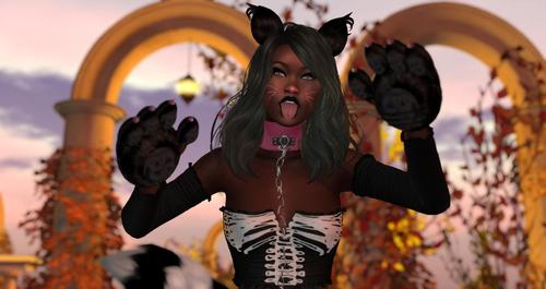 Web 5d71db8673ed1730f7000001