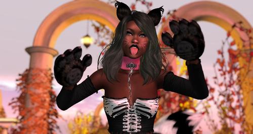 Web 5d71db9bd9859c5b2c000001