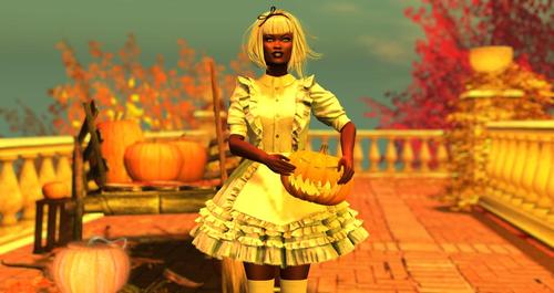 Web 5d73880ad774f8250c000001