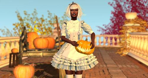 Web 5d738a0cd774f834df000001