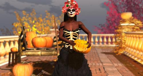 Web 5d73949073ed1770f5000001