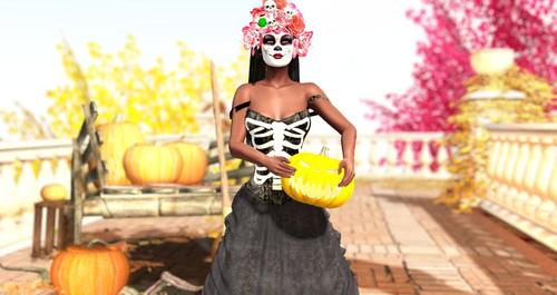 Web 5d73959dd774f87292000001