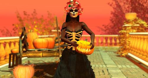 Web 5d73961e289dd26092000001