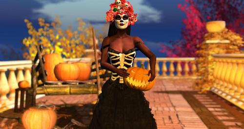 Web 5d739658d774f8790c000001