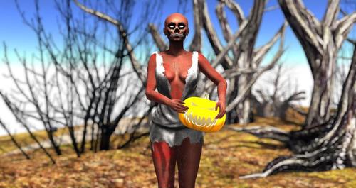 Web 5d73b03cd9859c382f000001