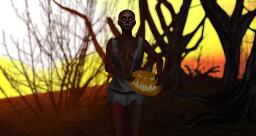 Web 5d73b6f9d774f81cc8000001