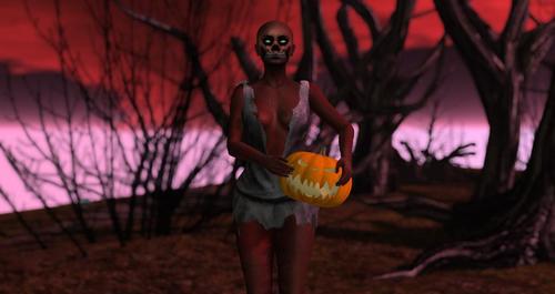 Web 5d73bc08d774f83c6b000001