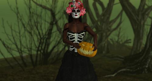 Web 5d73c5e1d774f87209000001