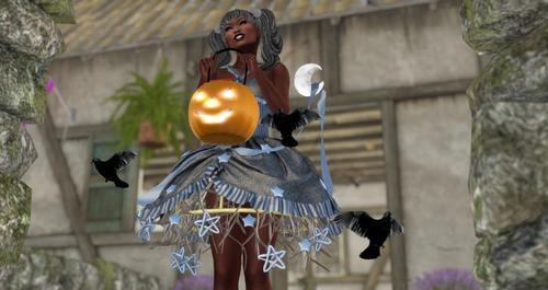 Web 5d73dca3d774f878cc000001