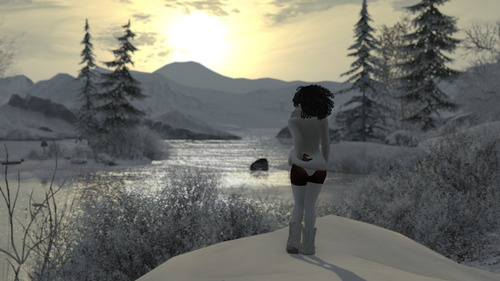 Web 6390740815883b0f70dad221